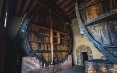 Nejvyhledávanější španělská vína pochází z Prioratu