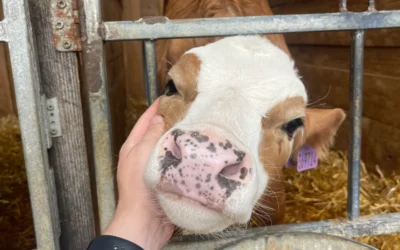 Výjezdní školení: Farma Struhy